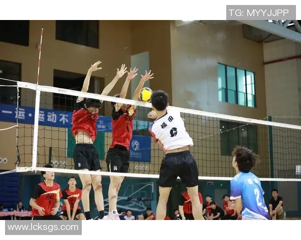 深圳排球队引领最新排球节奏TOP10榜单精彩纷呈 深圳排球队引领最新排球节奏TOP10榜单精彩纷呈