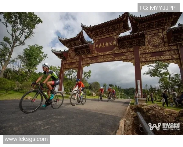 武汉篮球队的耐力之路：从训练到比赛的全景解析与展望