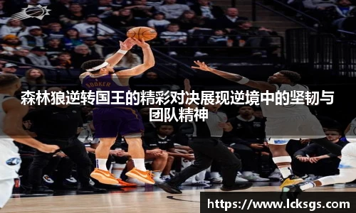 DB电竞官方网站